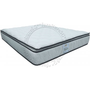 MaxCoil Calista Mosquito Free Pillow-Top Mattress | Free Gifts