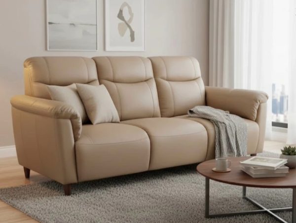 half-leather-sofa