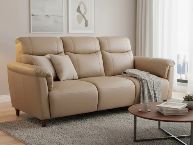 half-leather-sofa