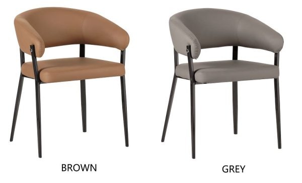 Dining Chair DNC1317 (Available in 2 colors)