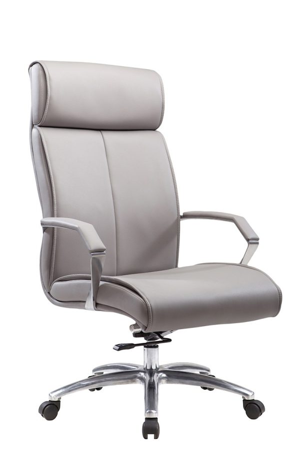 Office Chair OC1213 (Available in 2 colors)