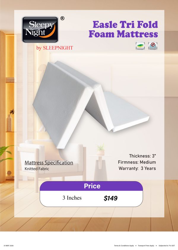 Dreamster Easle Tri Fold Foam mattress