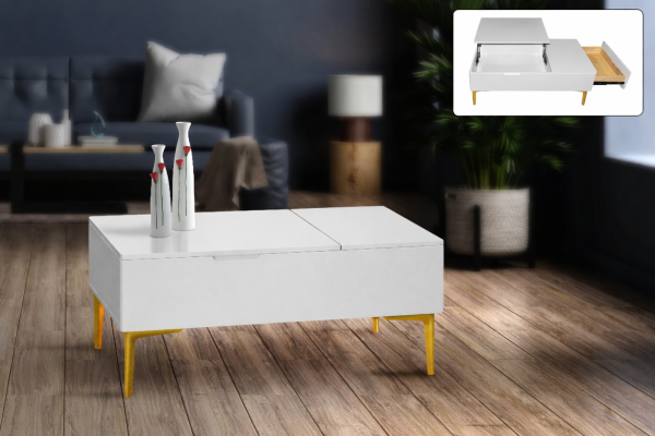 Coffee Table CFT1669