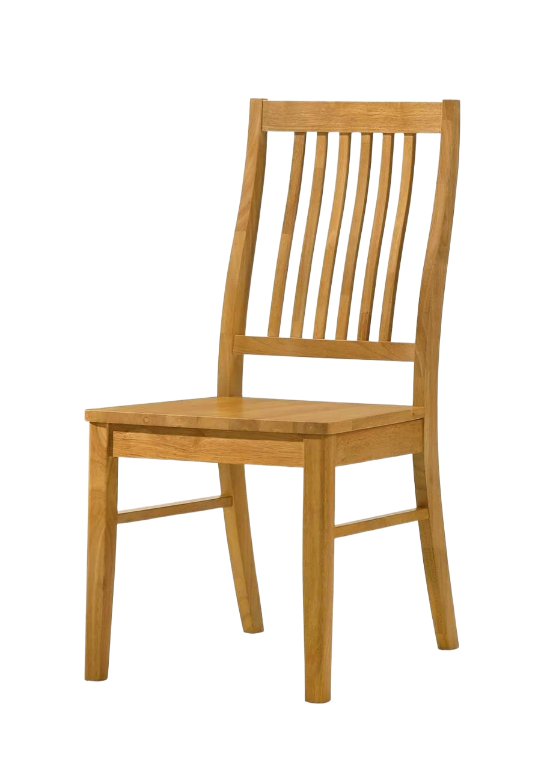 Dining Chair DNC1351