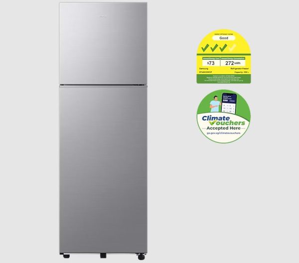 Samsung Top Mount Freezer All-Around Cooling 256L (RT40H25W3PSS) Silver